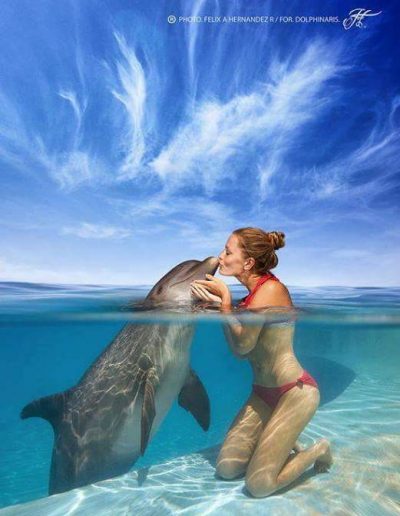 IMG-00629eb84c5b038106b95e1c8bd5775f-V